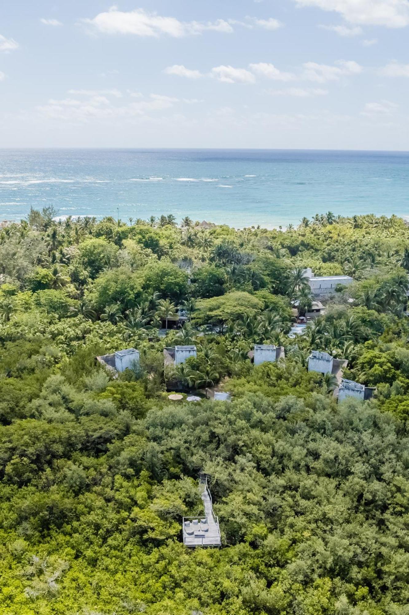 Vida Silvestre Villa Tulum Exteriör bild